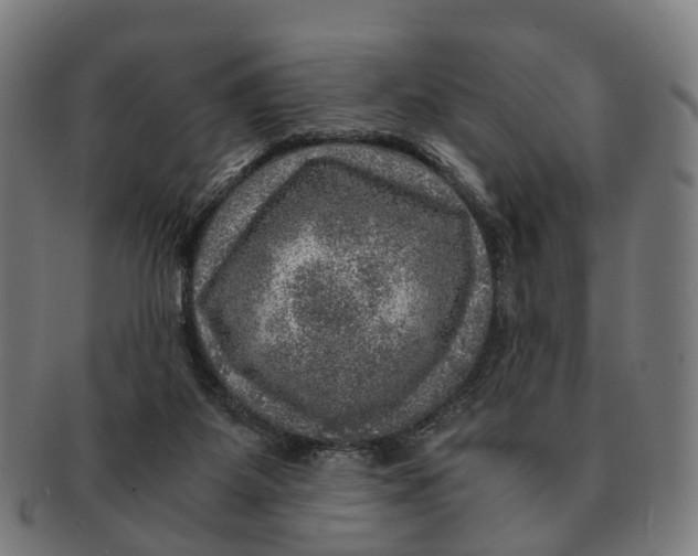 X0000091010115200708301407