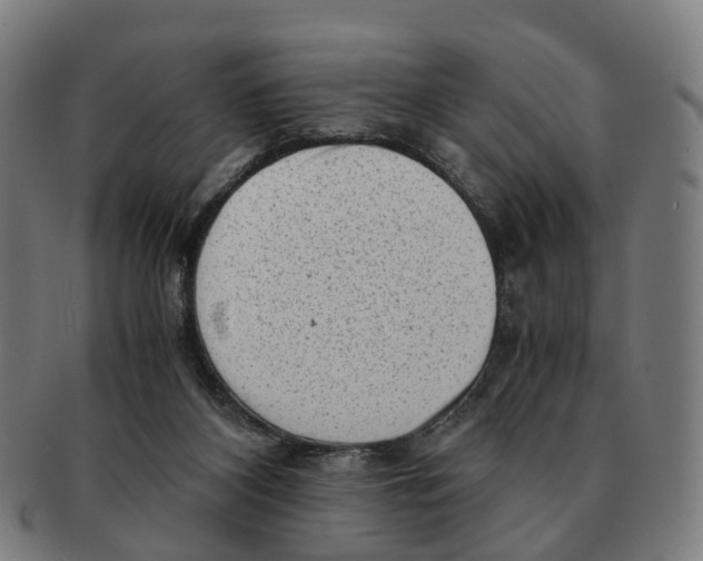 X0000091010116200708301407