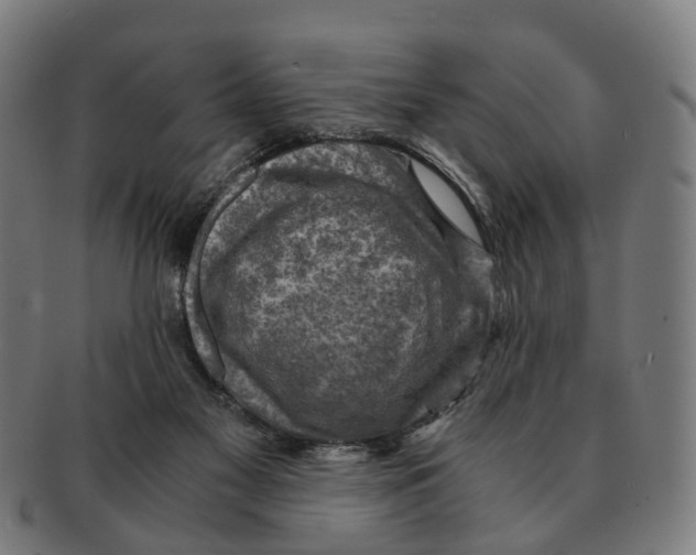 X0000091010117200708301407