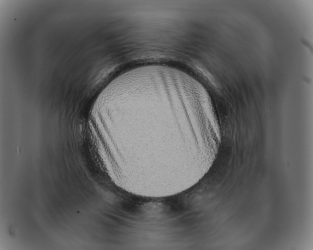 X0000091010119200708301407
