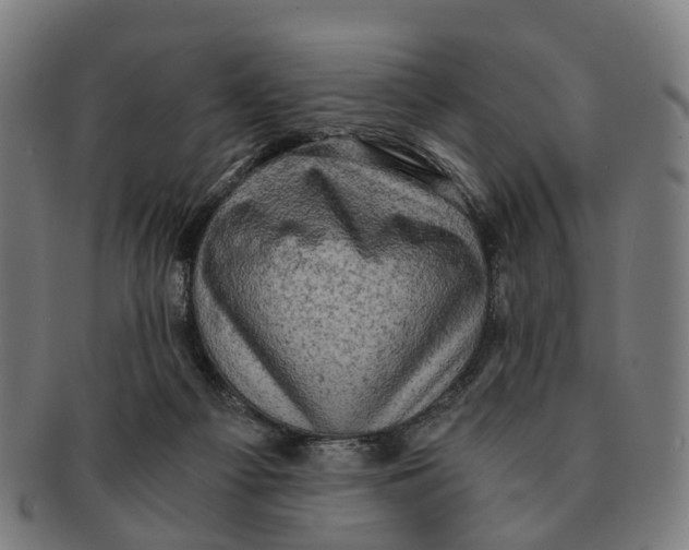 X0000091010121200708301407
