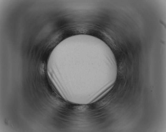 X0000091010122200708301407
