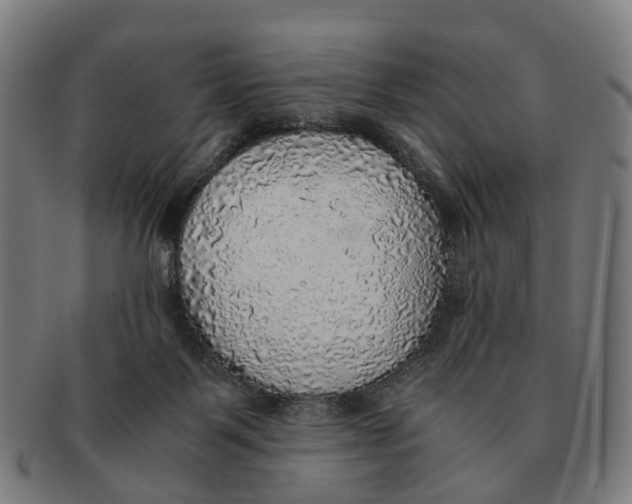 X0000091010123200708301407