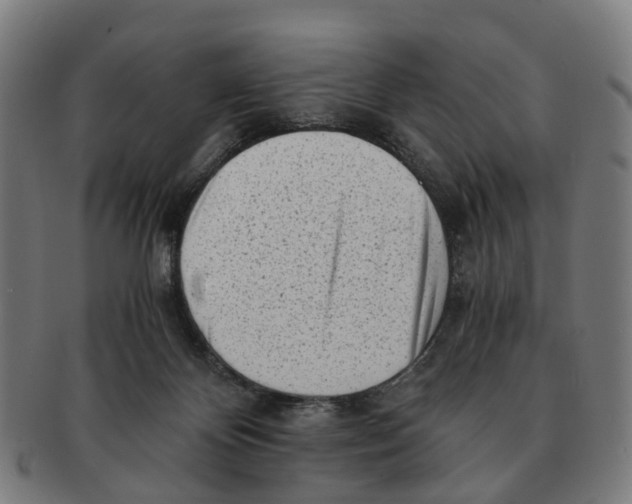 X0000091010124200708301407