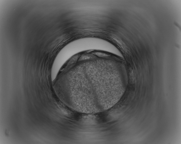 X0000091010125200708301407