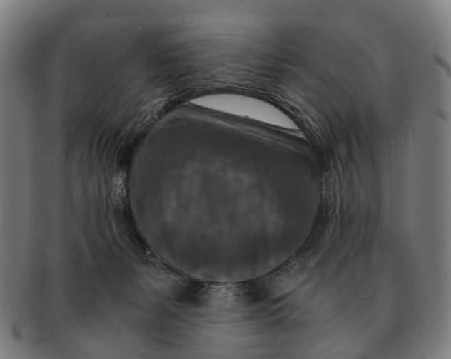 X0000091010127200708301407