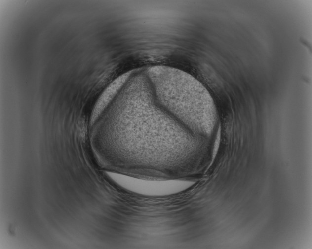 X0000091010129200708301407