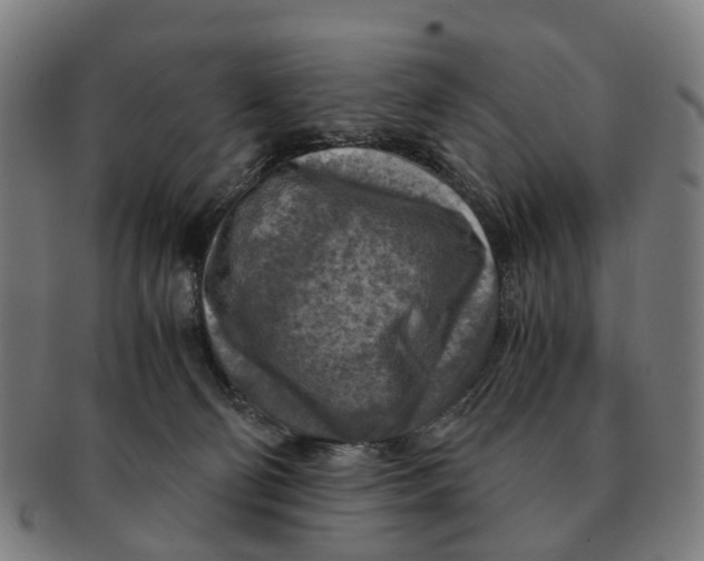 X0000091010130200708301407