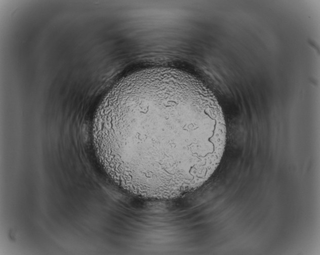 X0000091010131200708301407