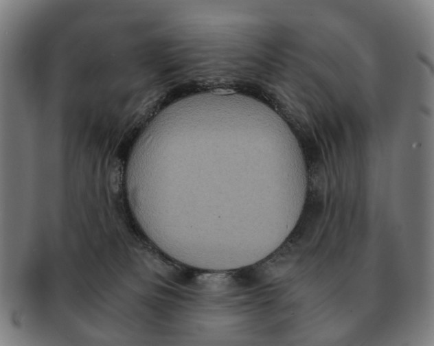 X0000091010133200708301407