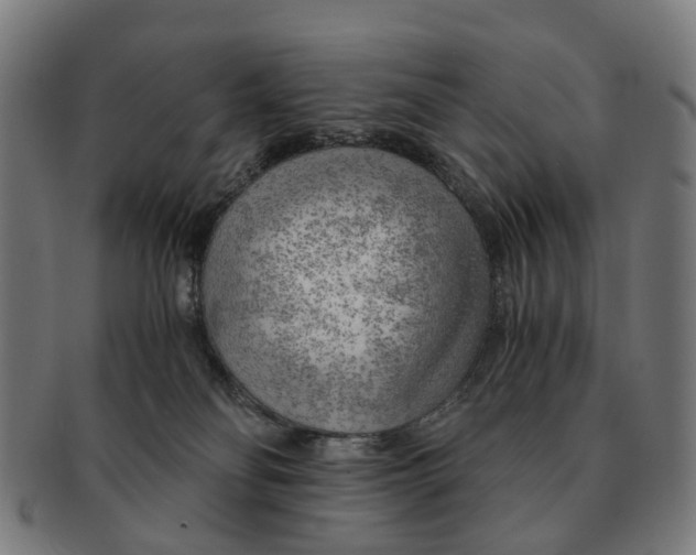 X0000091010134200708301407
