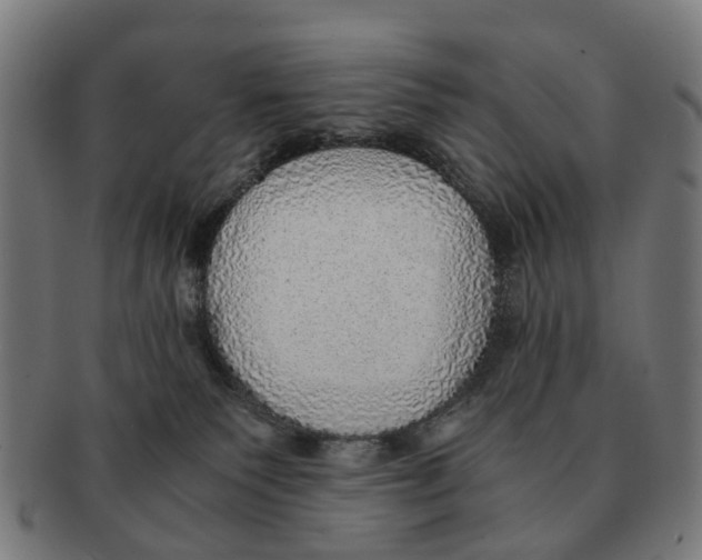 X0000091010135200708301407