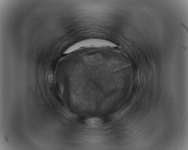 X0000091010137200708301406