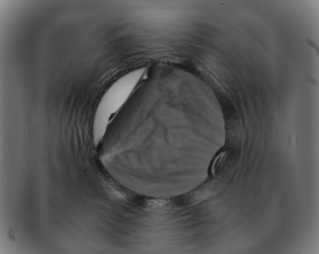X0000091010139200708301406