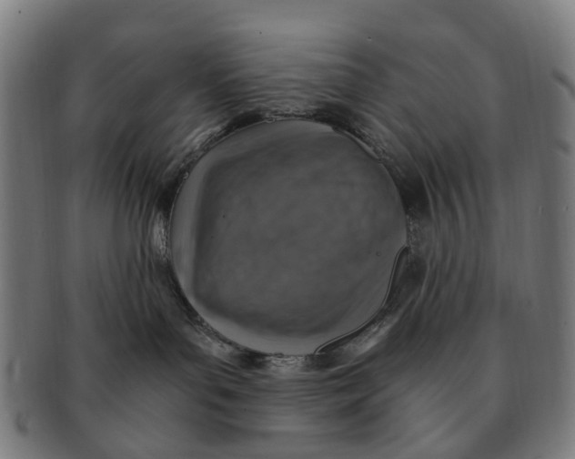 X0000091010143200708301406