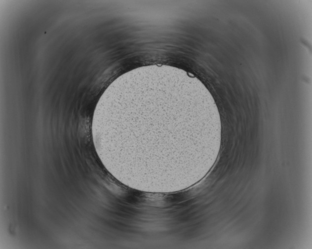 X0000091010144200708301406