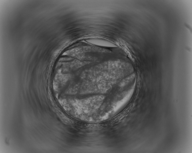 X0000091010145200708301406