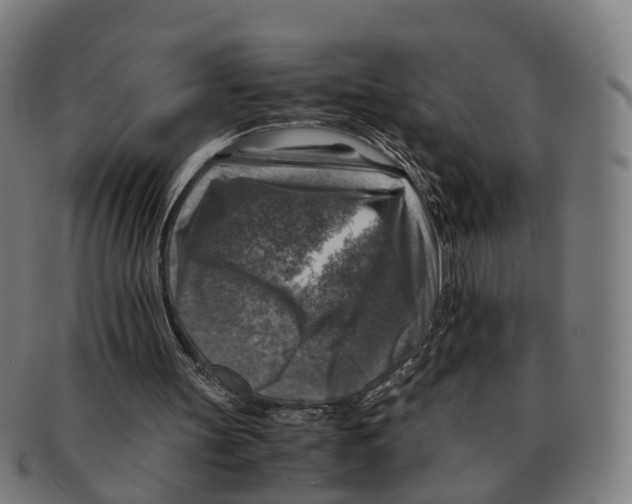X0000091010147200708301406