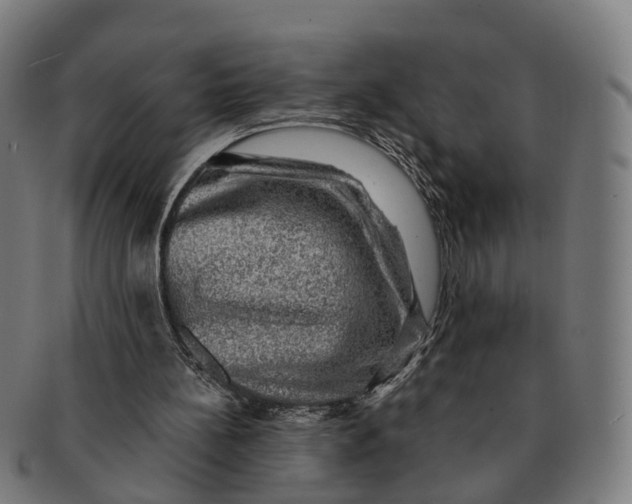 X0000091010148200708301406