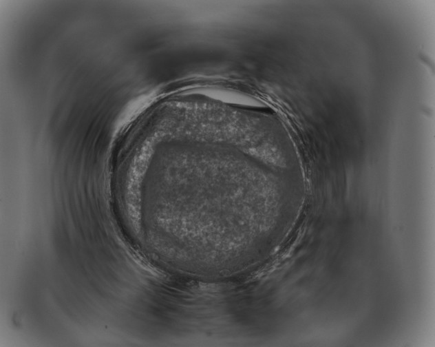 X0000091010149200708301406