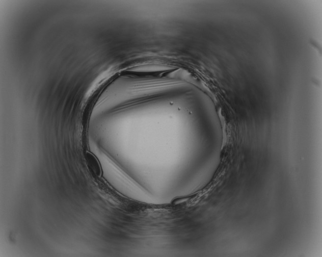 X0000091010150200708301406