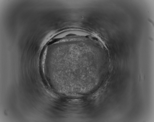 X0000091010151200708301406