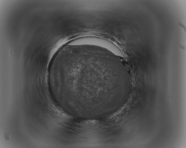 X0000091010152200708301406
