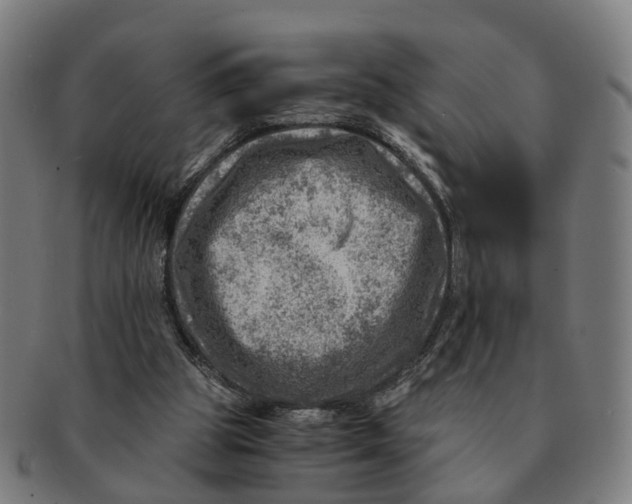 X0000091010153200708301406