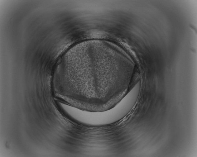 X0000091010154200708301406