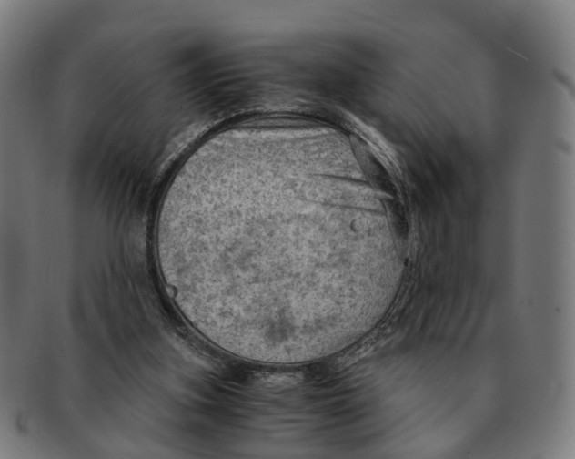 X0000091010155200708301406