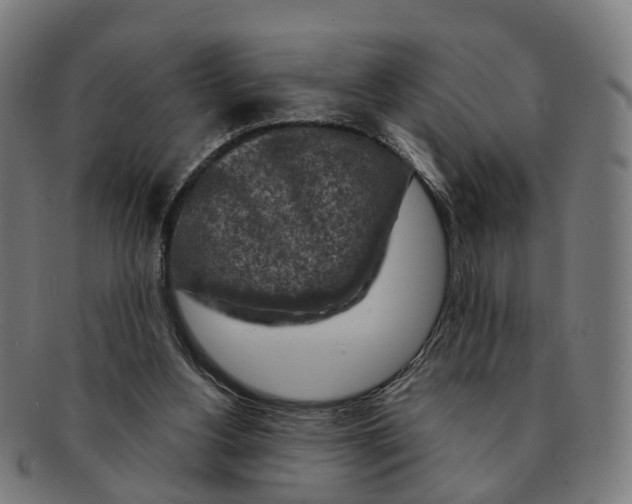 X0000091010156200708301406