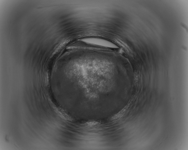 X0000091010158200708301406