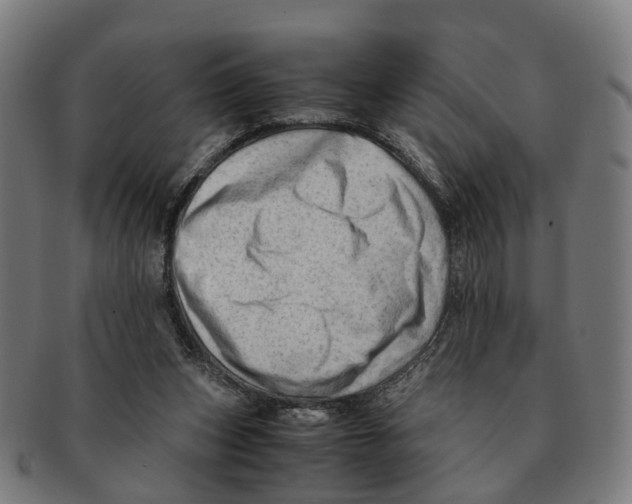 X0000091010159200708301406