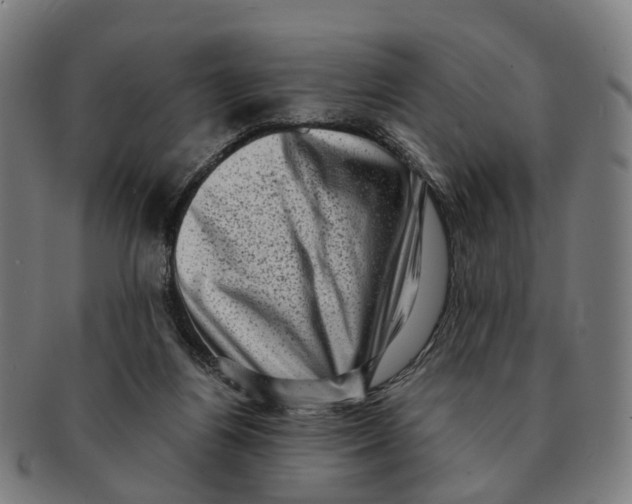 X0000091010164200708301406