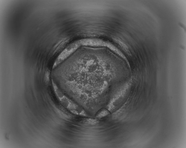 X0000091010166200708301406