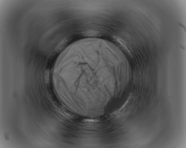 X0000091010167200708301406