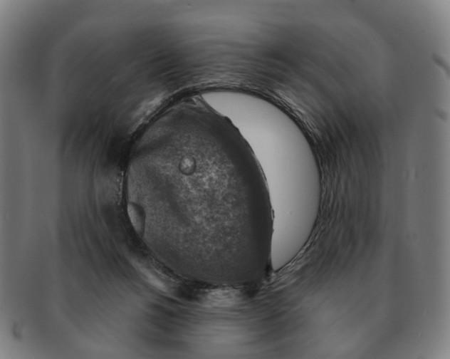 X0000091010168200708301406