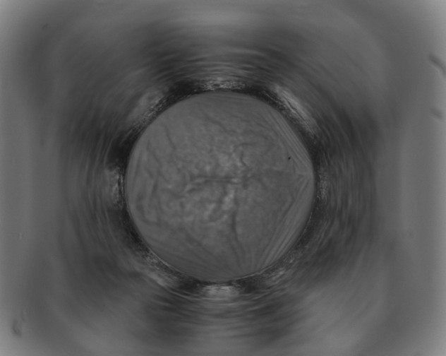X0000091010169200708301406