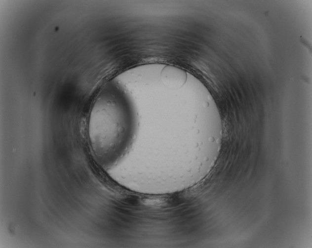 X0000091010171200708301406