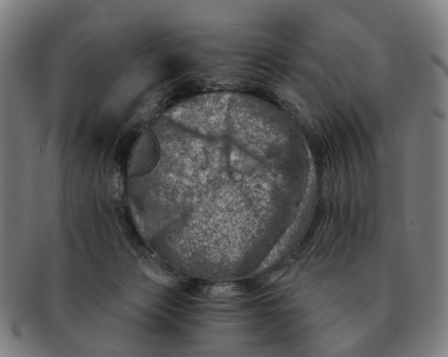 X0000091010173200708301406