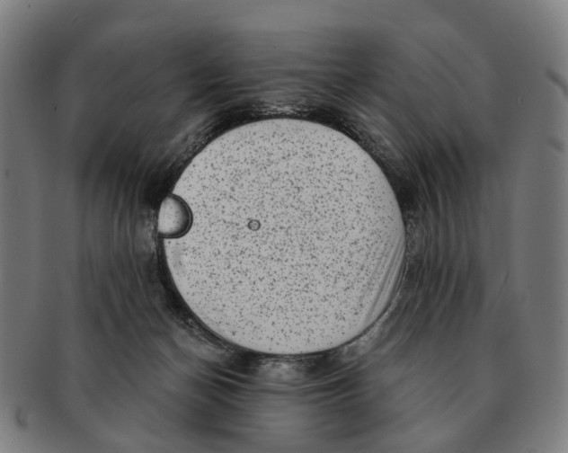 X0000091010174200708301406