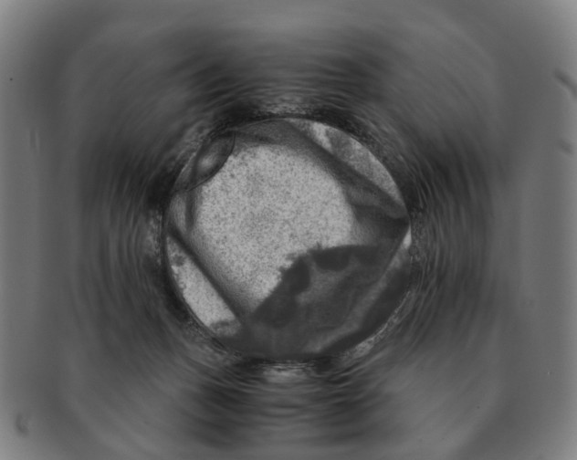 X0000091010175200708301406