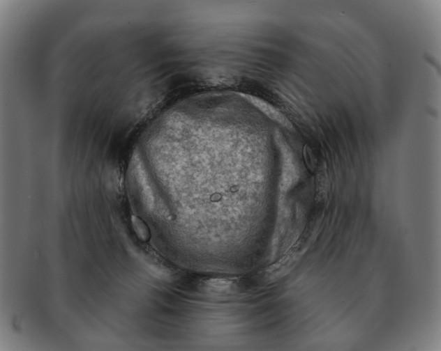 X0000091010176200708301406