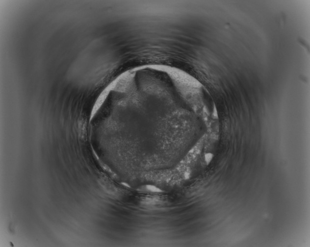 X0000091010177200708301406