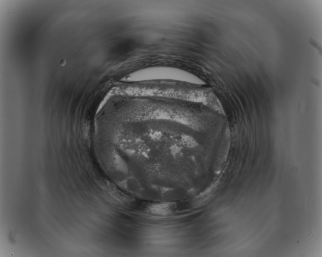 X0000091010178200708301406