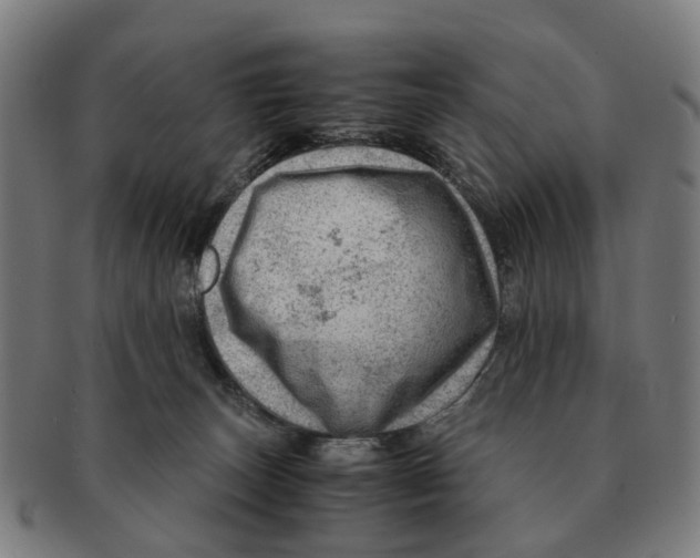 X0000091010179200708301406