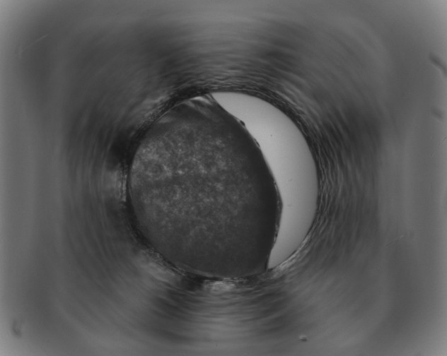 X0000091010180200708301406
