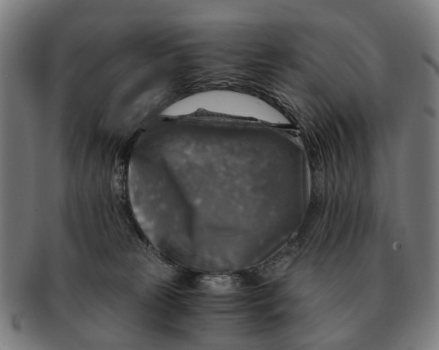 X0000091010181200708301406
