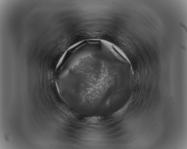 X0000091010182200708301406