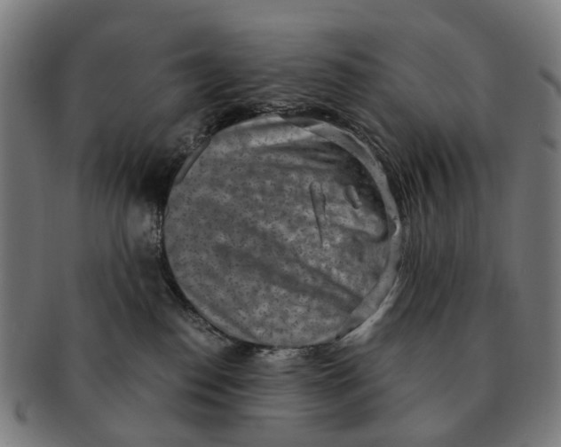 X0000091010186200708301406